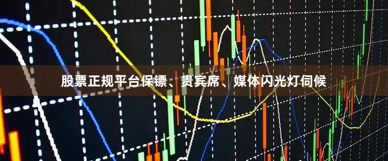 股票正规平台保镖、贵宾席、媒体闪光灯伺候